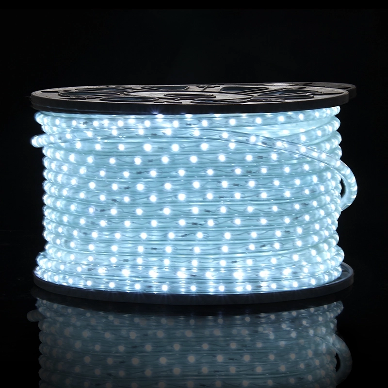 150 ft Outdoor Rope Lights - Heavy-Duty Construction and Landscape Lighting, 50m Bright Marine-Grade Rope Light for Long-Lasting Durability (2) 150 ft Outdoor Rope Lights - Heavy-Duty Construction and Landscape Lighting, 50m Bright Marine-Grade Rope Light for Long-Lasting Durability (2)