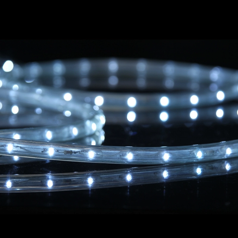 150 ft Outdoor Rope Lights - Heavy-Duty Construction and Landscape Lighting, 50m Bright Marine-Grade Rope Light for Long-Lasting Durability (4) 150 ft Outdoor Rope Lights - Heavy-Duty Construction and Landscape Lighting, 50m Bright Marine-Grade Rope Light for Long-Lasting Durability (4)