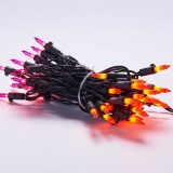 Customizable Bulk 50CT Incandescent & LED Mini String Lights - Ideal for Commercial Projects & Wholesale Distribution (4)